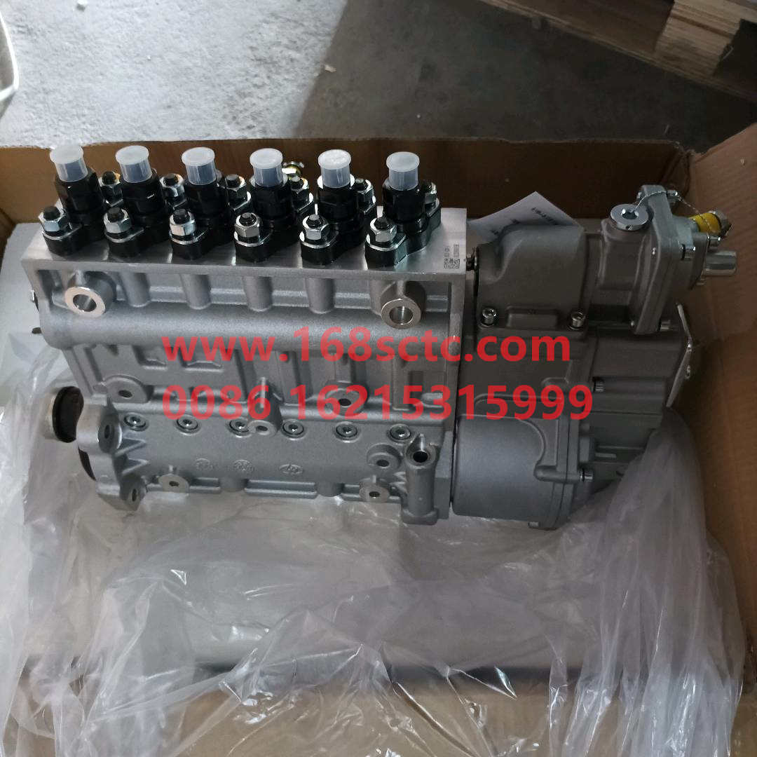 VG1246080097