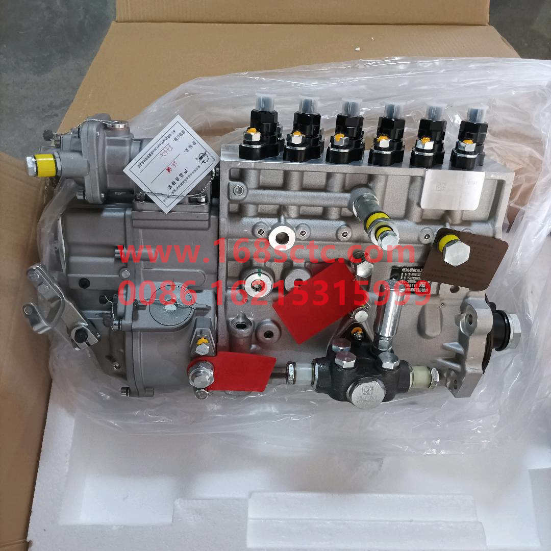 VG1246080097