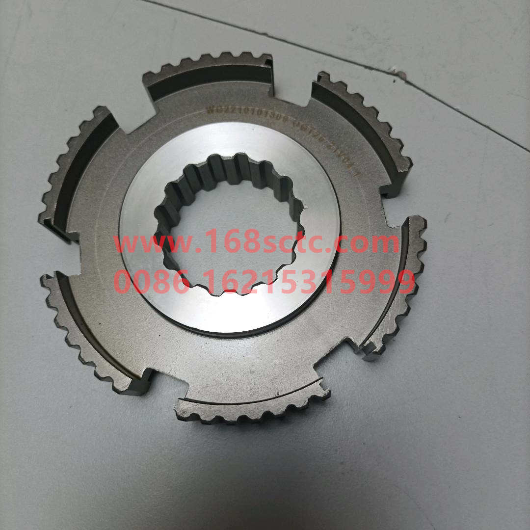 WG2210101309