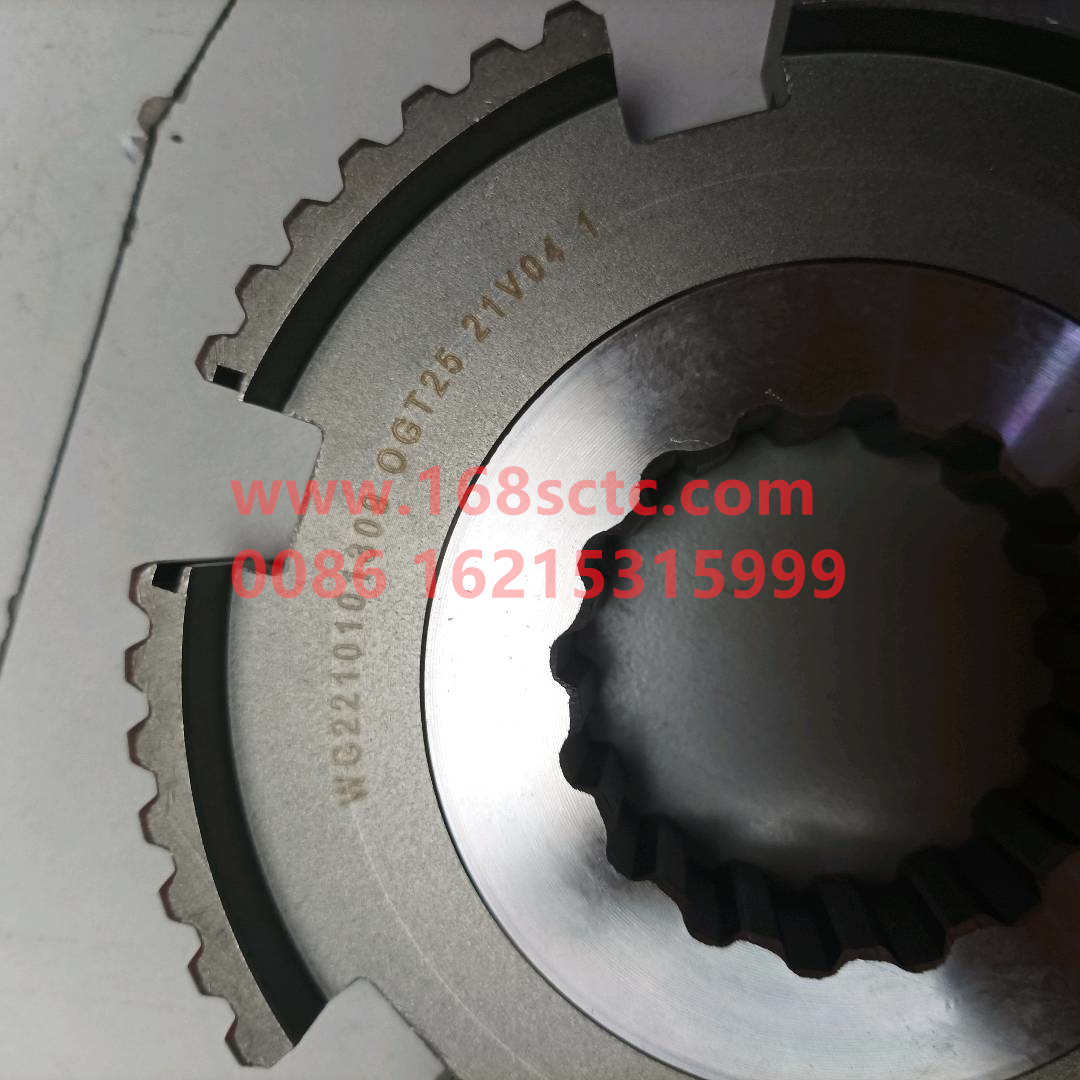 WG2210101309