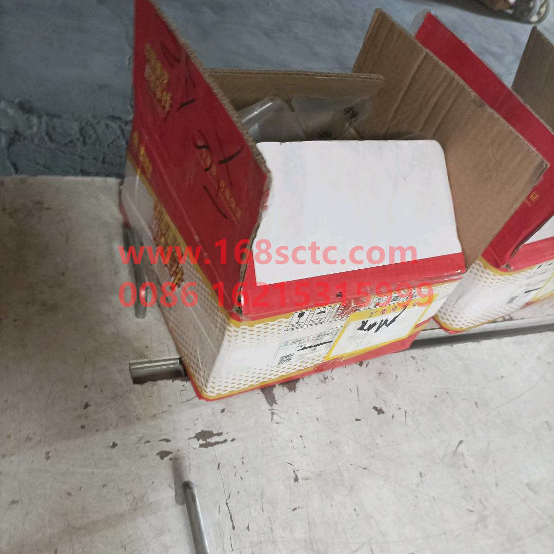 WG9100520665