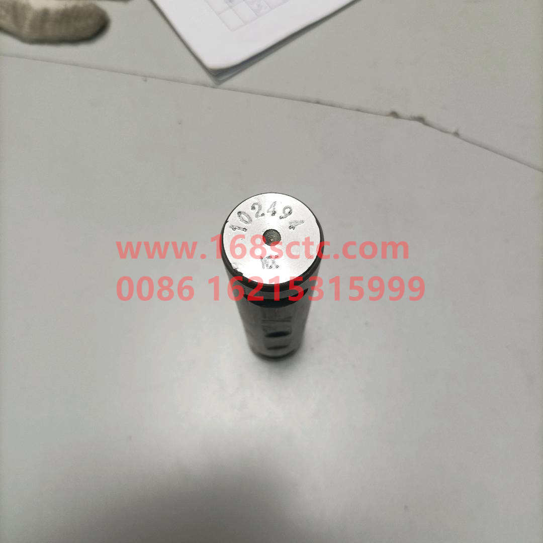WG9100520665