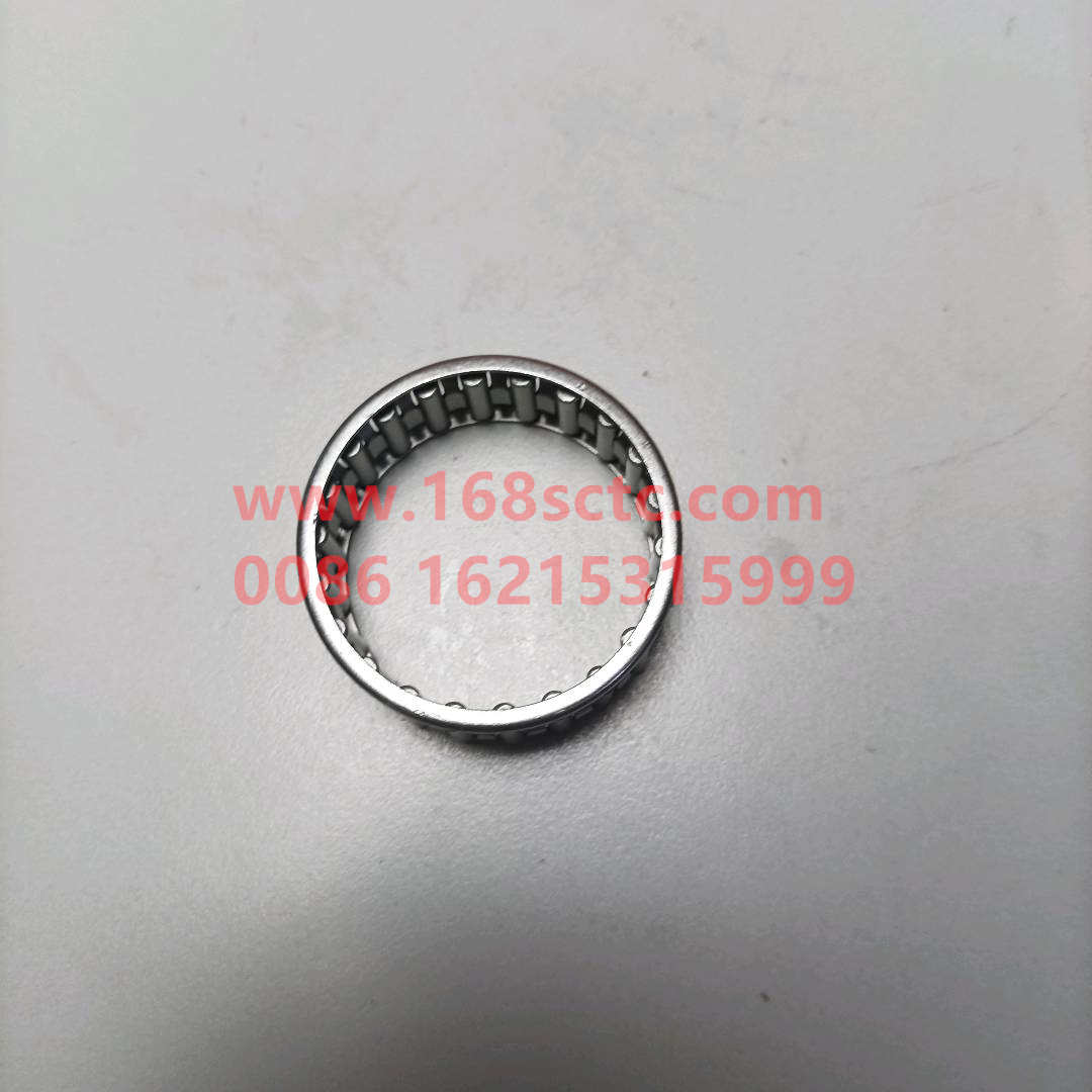 WG9003395320-SINOTRUK HOWO-Needle bearing K45x53x20-HaoWo2013Kuan