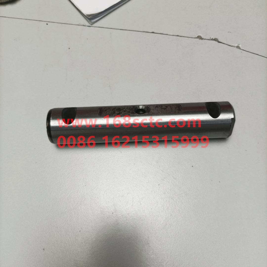 WG9100520665