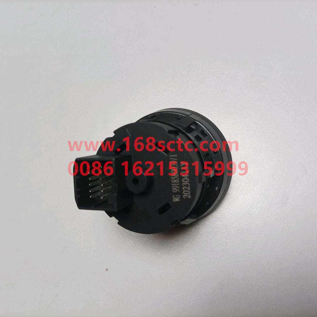 WG9918580039