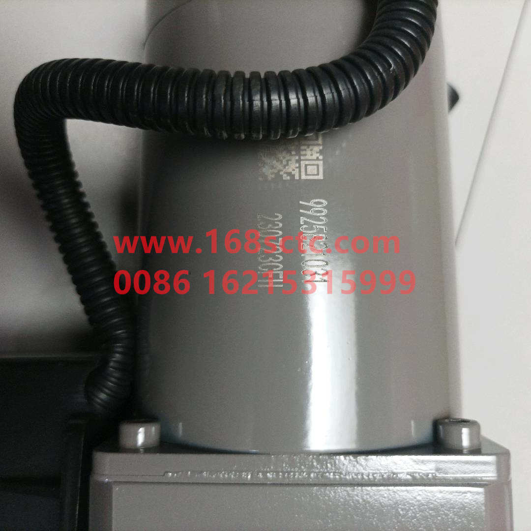 WG9925821031