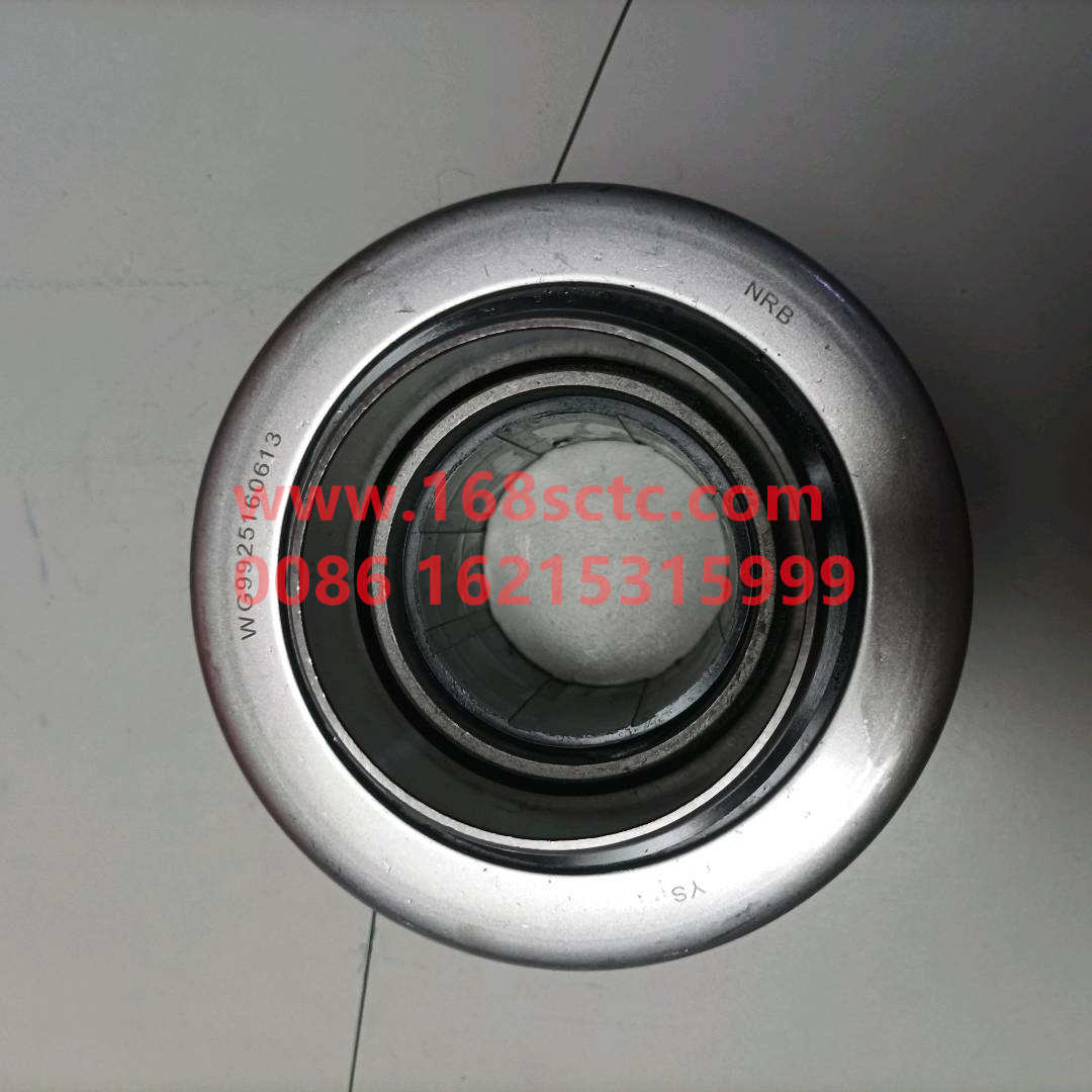 WG9925160613