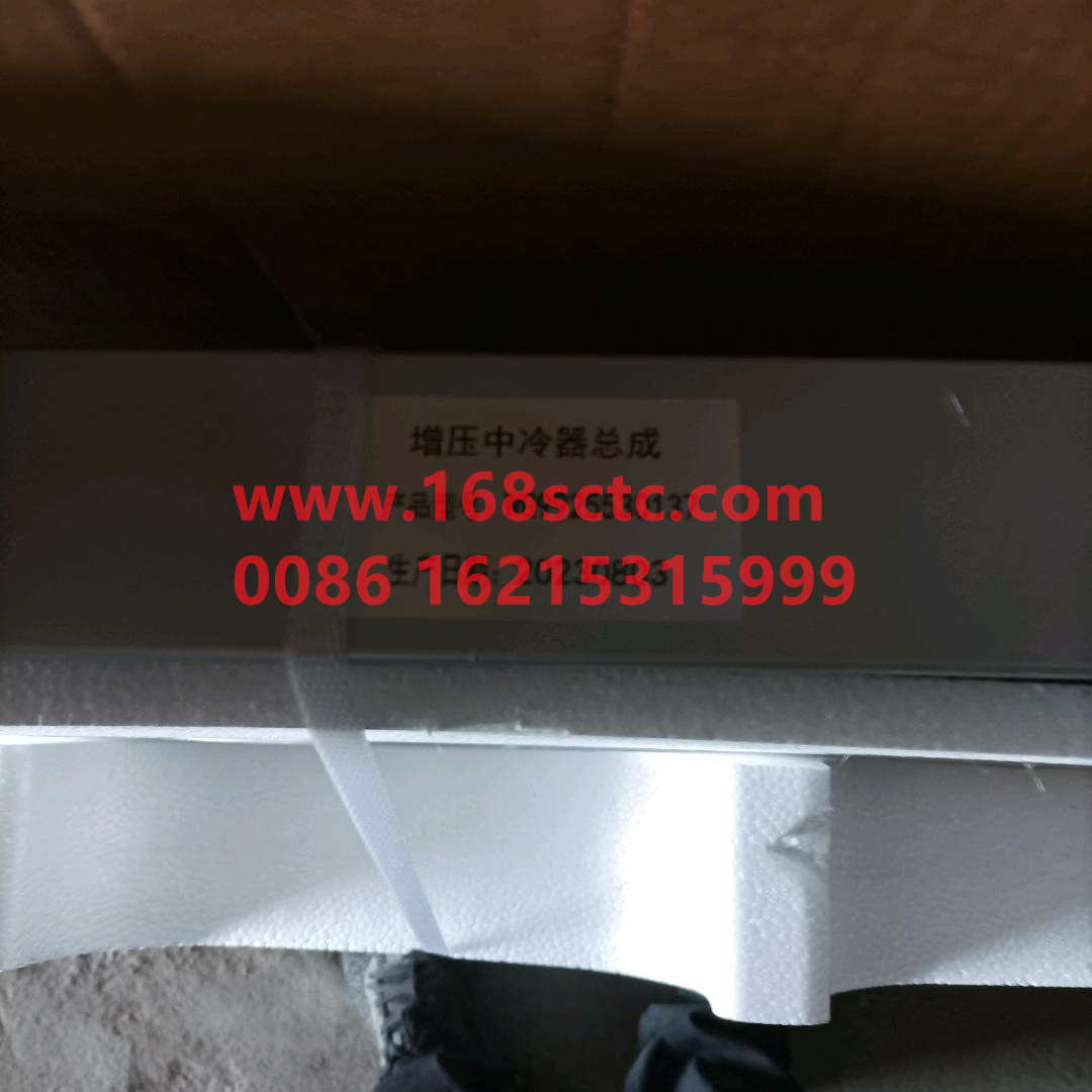WG9925530137