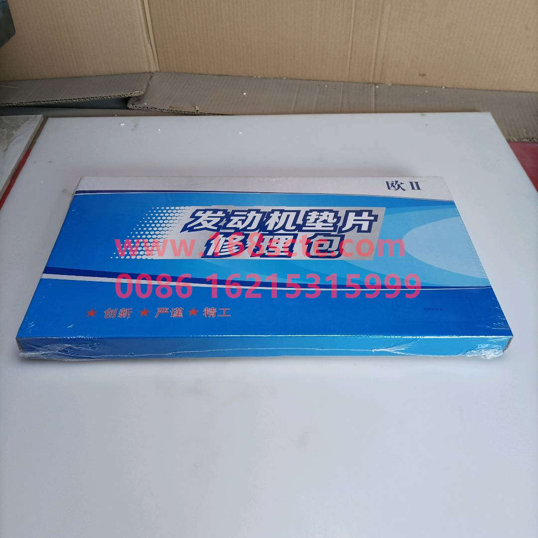 X61560010701-WEICHAI-Engine repair kit (otype ring)-WeiChaiFaDongJiWD615.61A