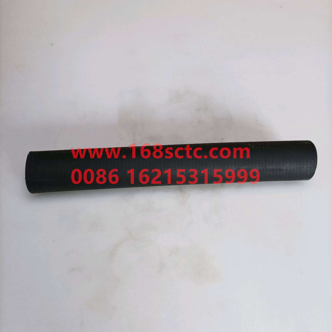 61500010079
