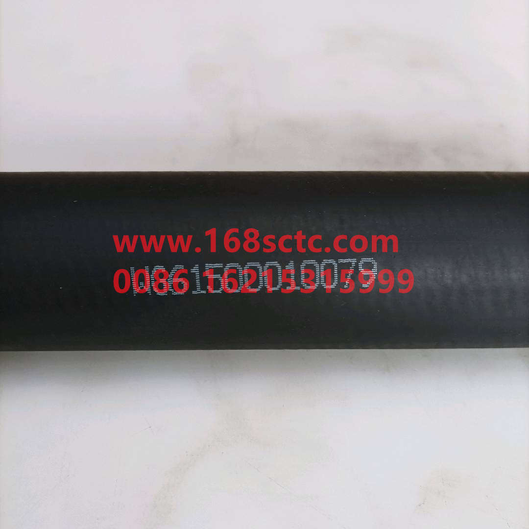 61500010079