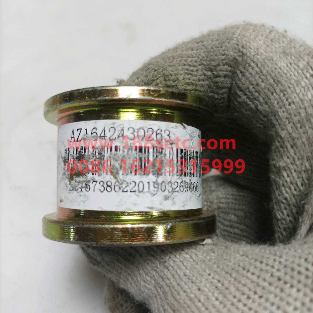 AZ16424302631