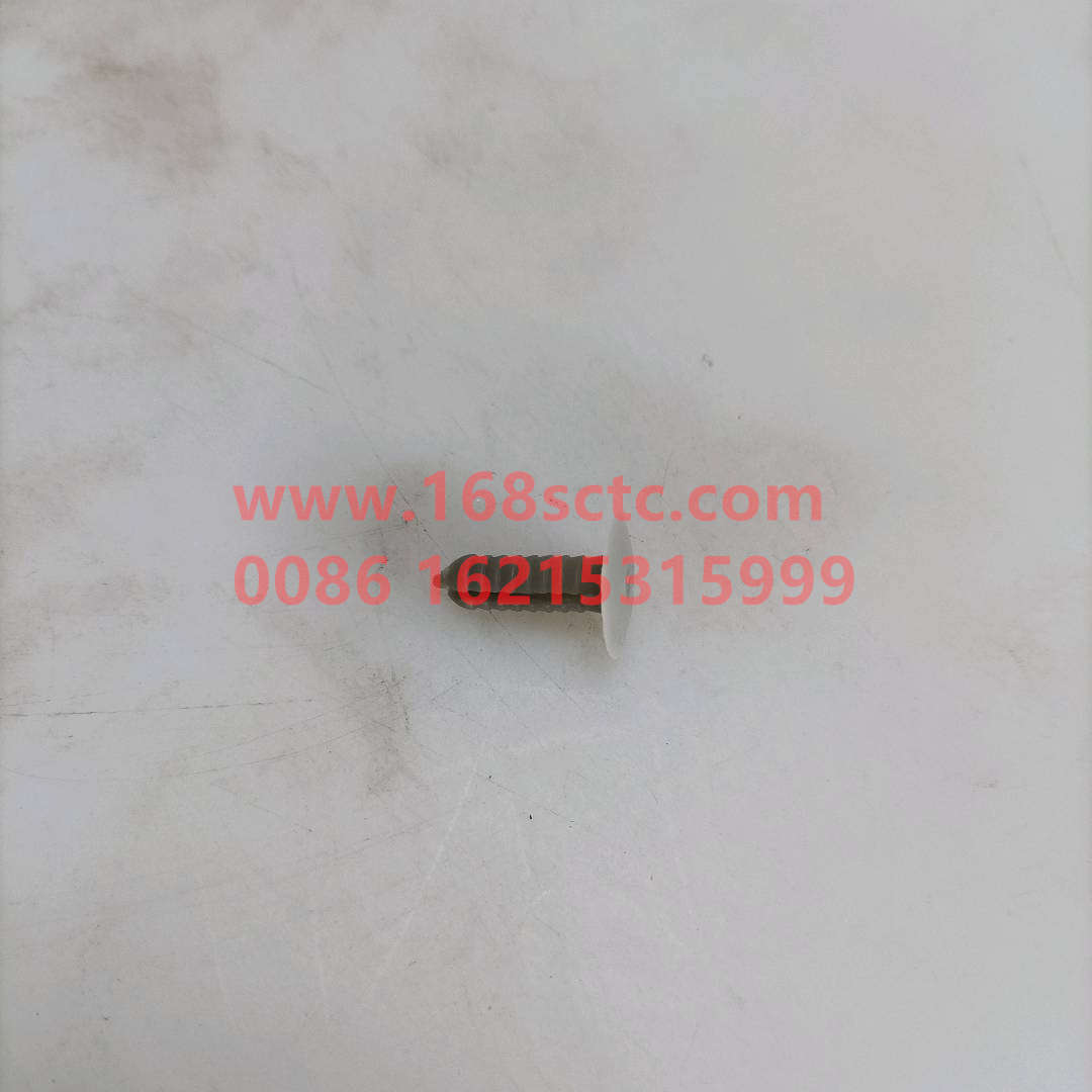 AZ1642930005-SINOTRUK HOWO-Rivet Ⅰ plastic open end-HaoWo2007Kuan