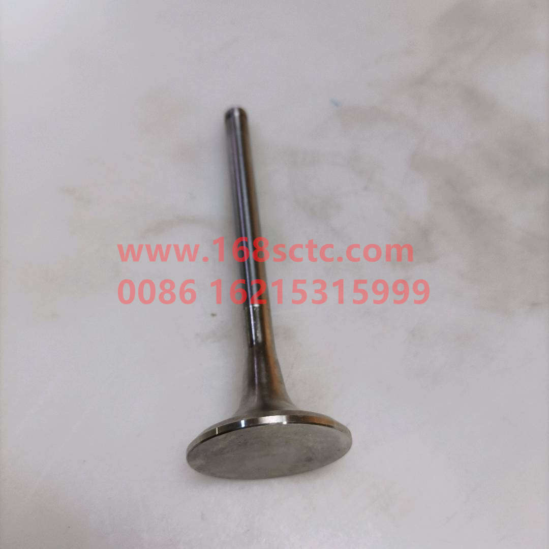 VG1560050041-SINOTRUK HOWO-exhaust valveEurope Ⅱ-ZhongQiFaDongJiWD615.97C