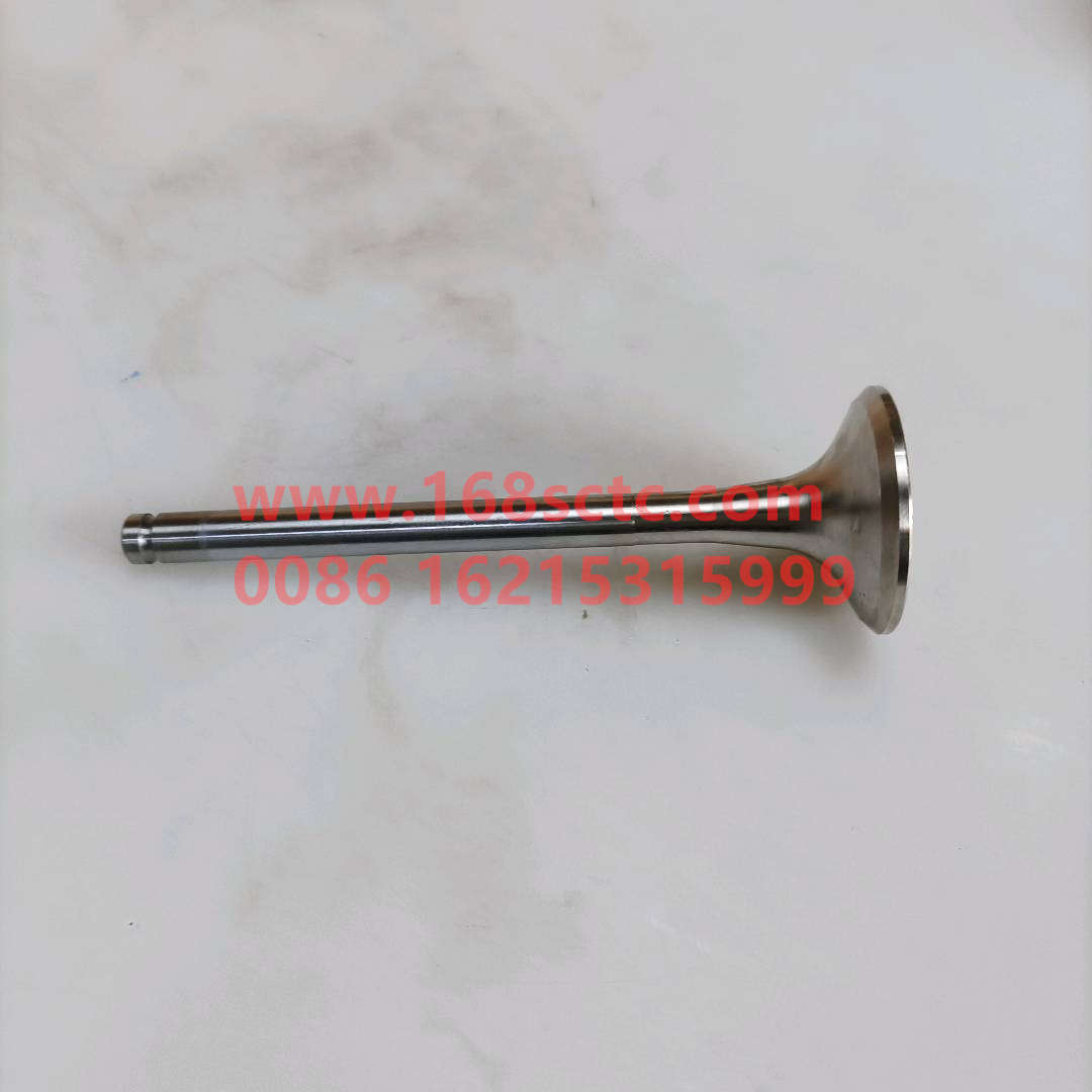 VG1560050041-SINOTRUK HOWO-exhaust valveEurope Ⅱ-ZhongQiFaDongJiWD615.97C