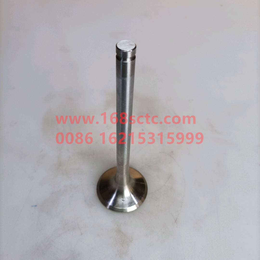 VG1560050041-SINOTRUK HOWO-exhaust valveEurope Ⅱ-ZhongQiFaDongJiWD615.97C