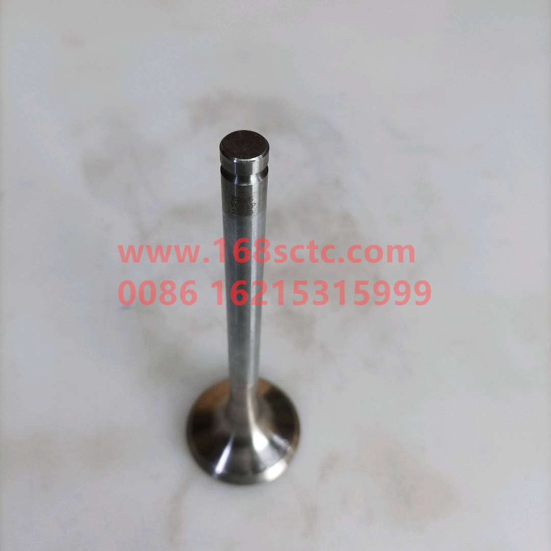 VG1560050041-SINOTRUK HOWO-exhaust valveEurope Ⅱ-ZhongQiFaDongJiWD615.97C