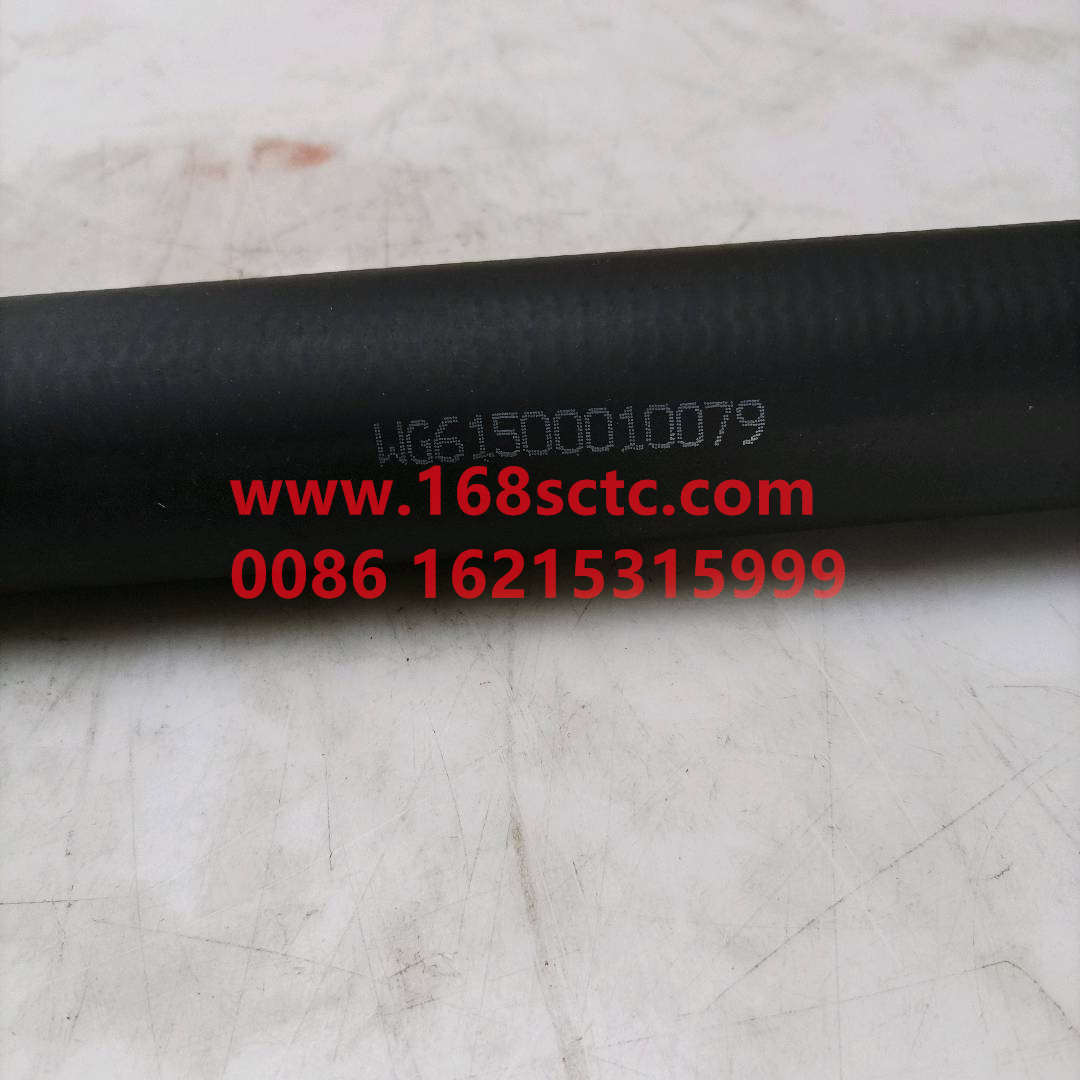 WG1500010079