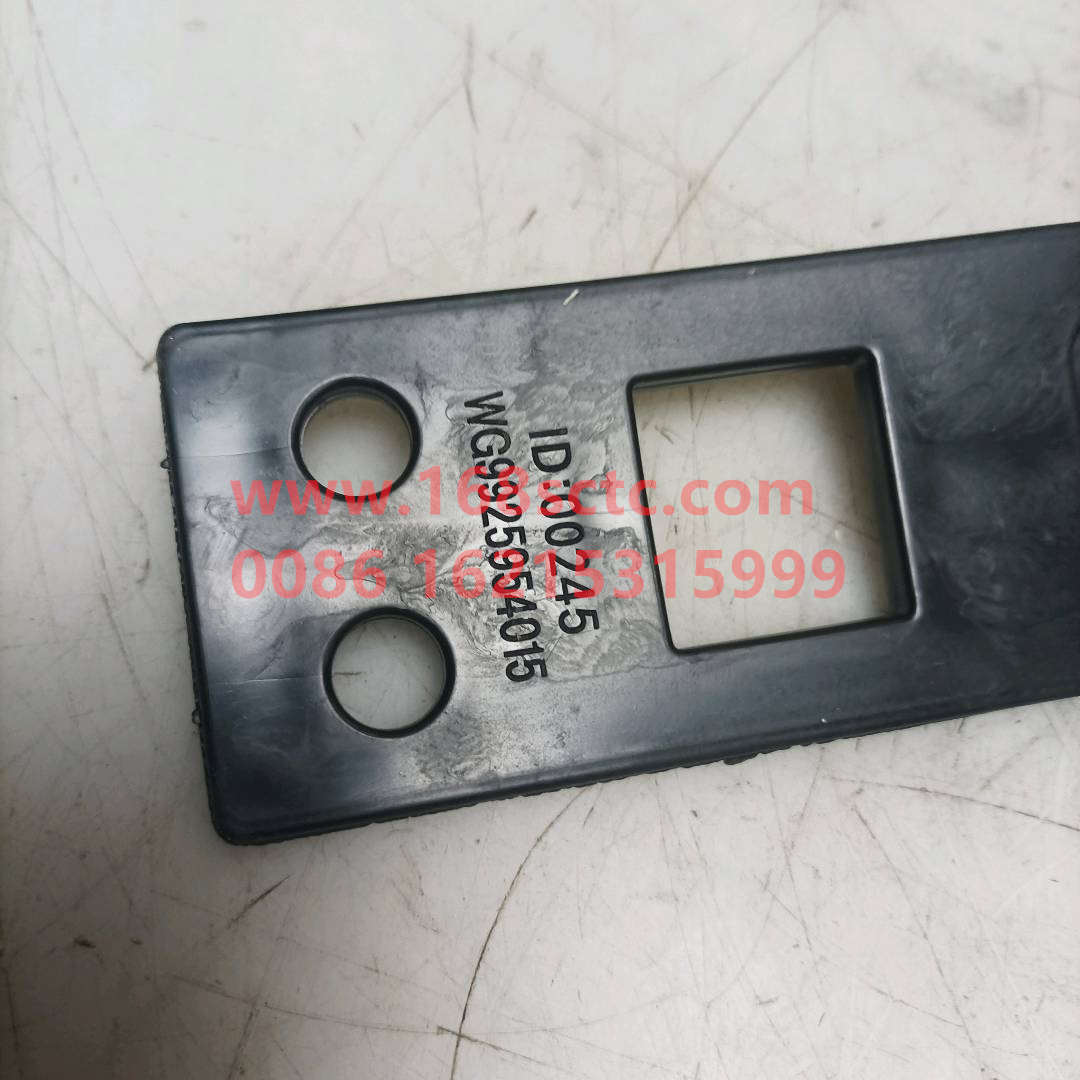 WG9925954015