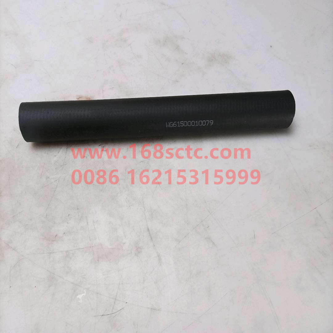 WG1500010079
