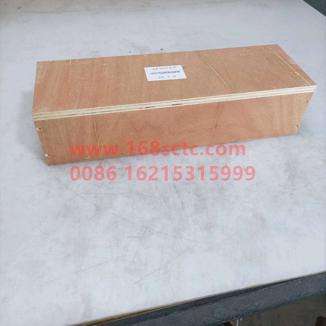 VG1038080008