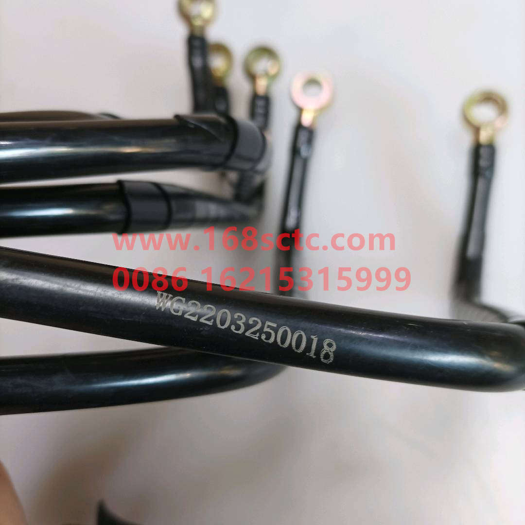 WG2203250018-SINOTRUK HOWO-Range file forming hose assemblylow gear-ZhongQiBianSuXiangHW15710C