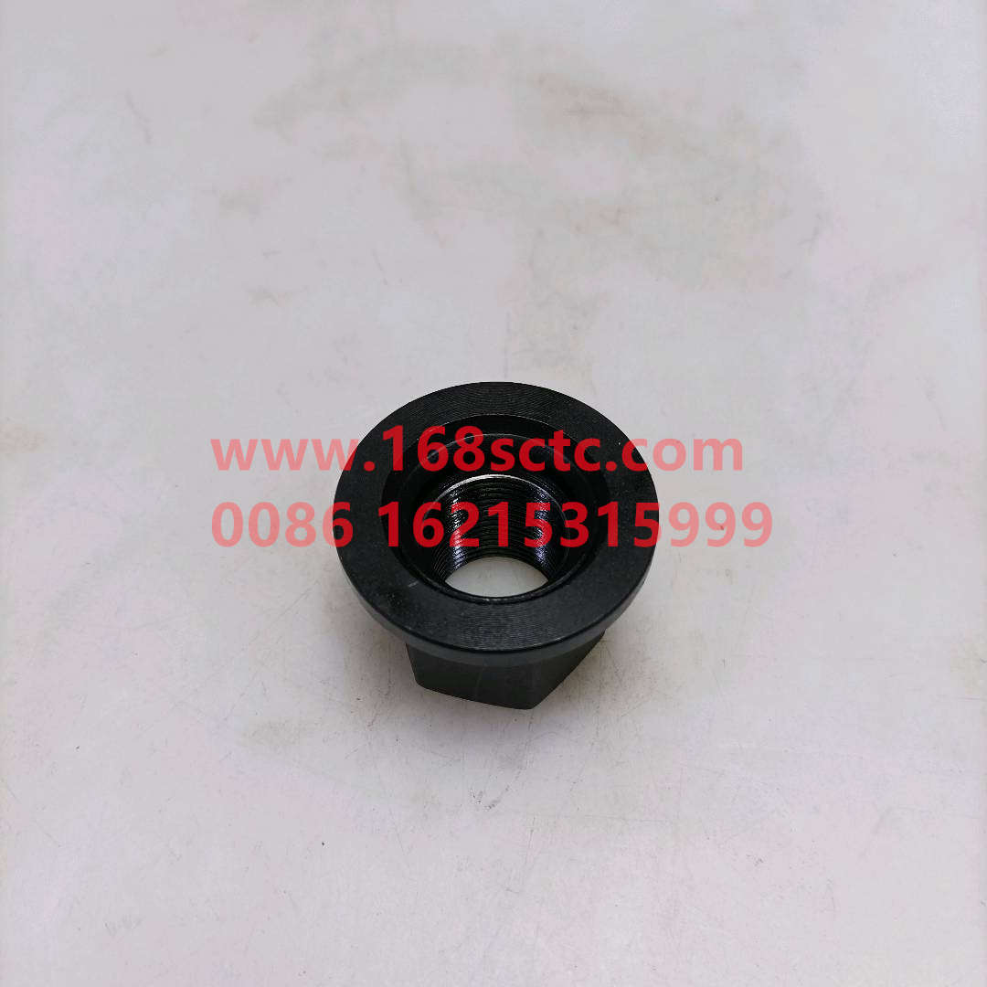 WG9003884160-SINOTRUK HOWO-wheel nut-ZhongQiHF9QianQiao