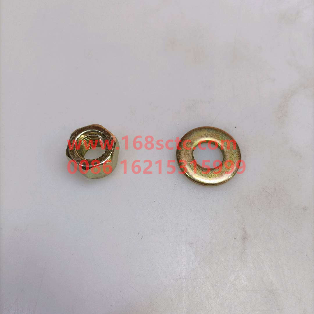 WG9100520042+012