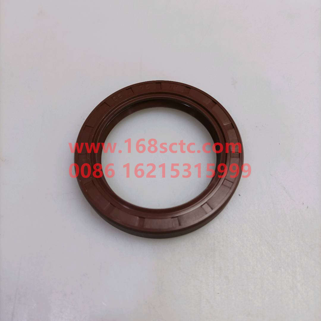 WG9003070055-SINOTRUK HOWO-Oil seal (transmission front oil seal 55x75x12)-HaoWo2013Kuan