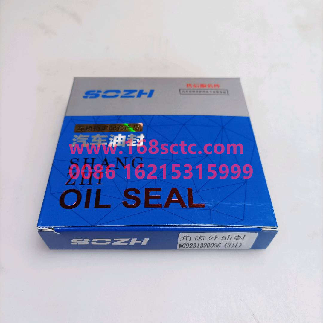 WG9231320026-SINOTRUK HOWO-Oil seal (corner tooth oil seal 85x105x8Inside)-ZhongQiZhongQiaoHC16