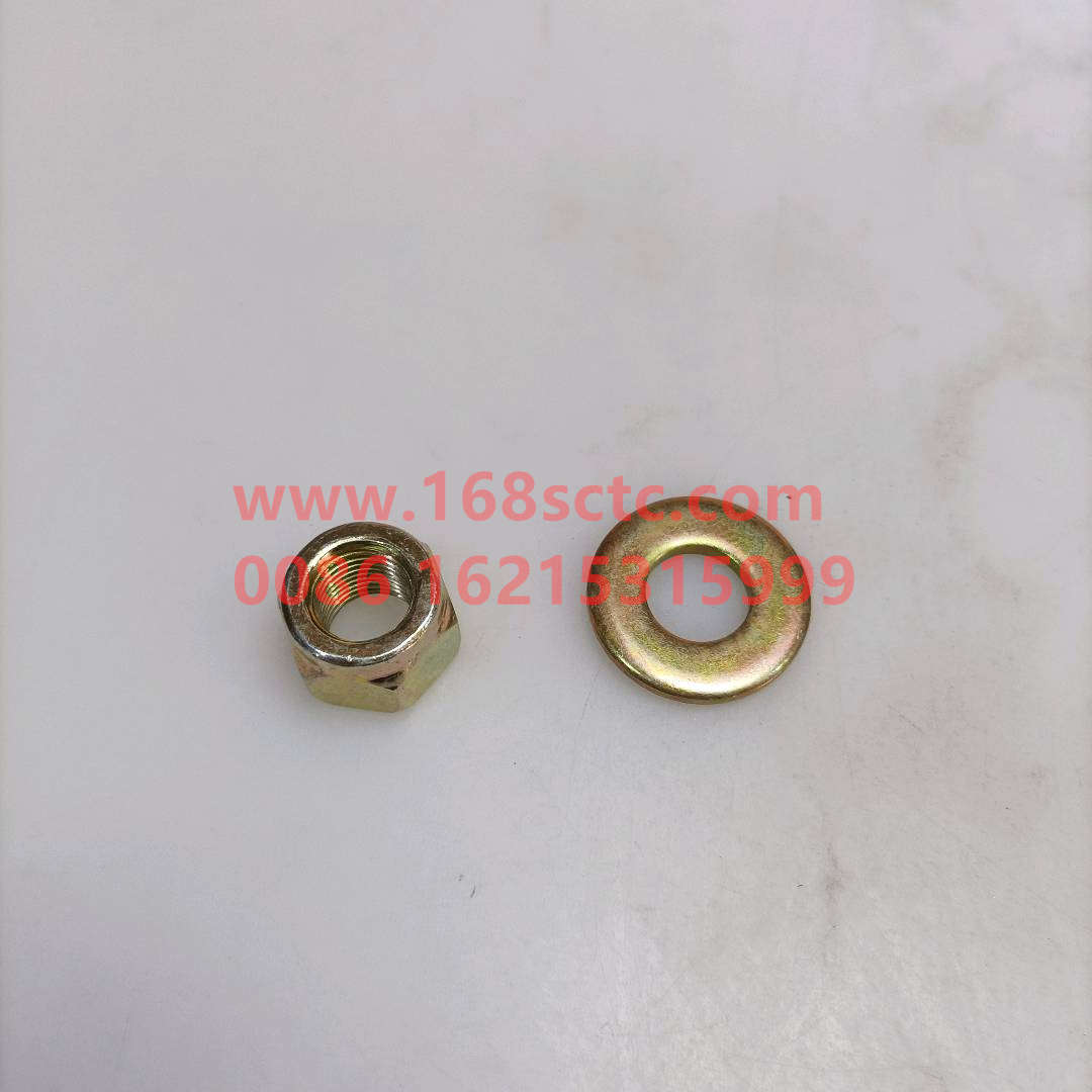 WG9100520042+012