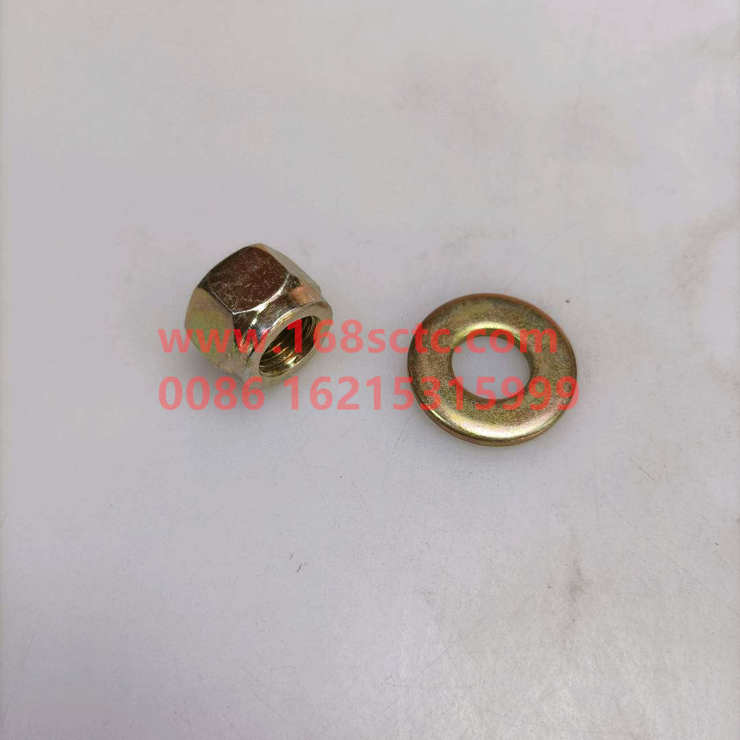 WG9100520042+012
