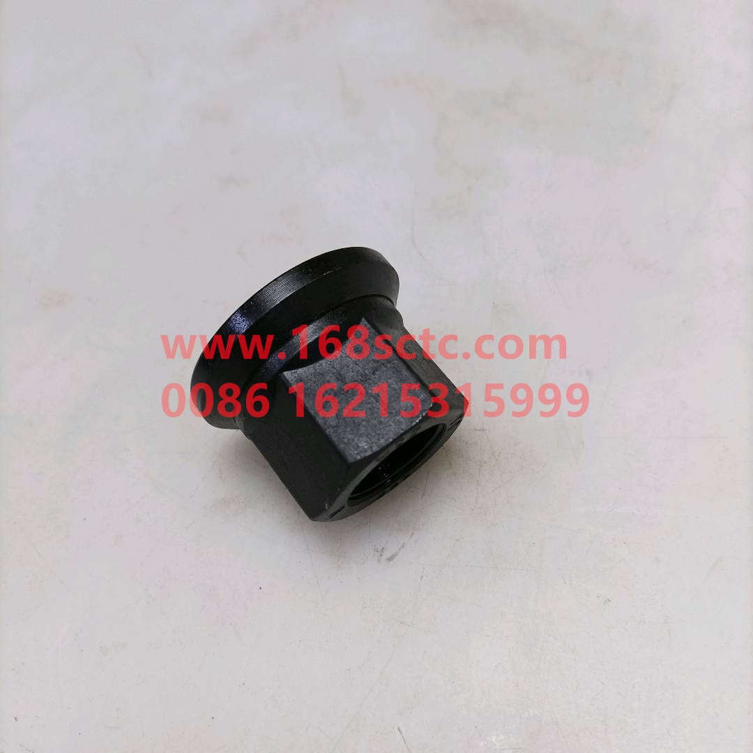 WG9003884160-SINOTRUK HOWO-wheel nut-ZhongQiHF9QianQiao