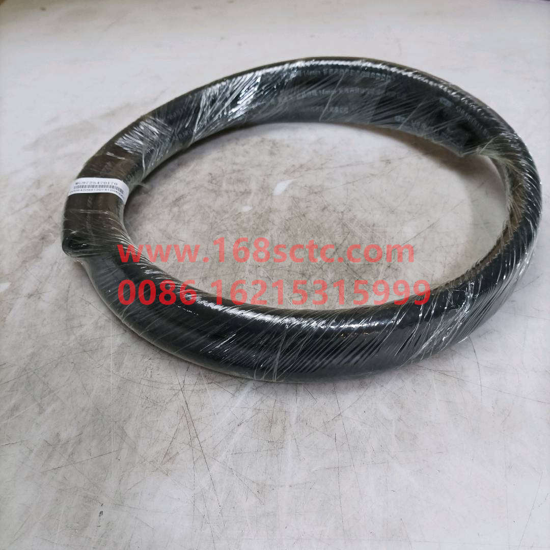 WG9725470170