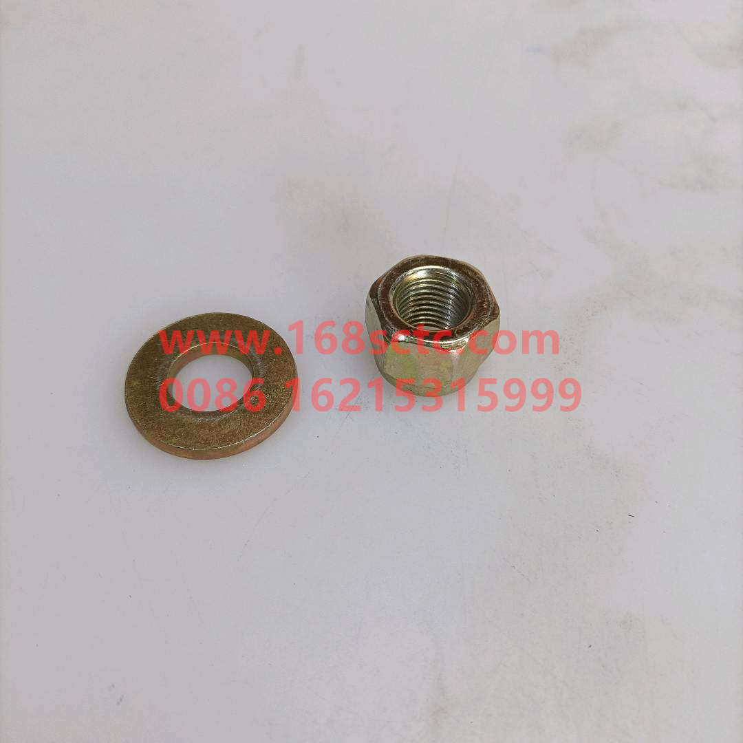 WG9725520282+014