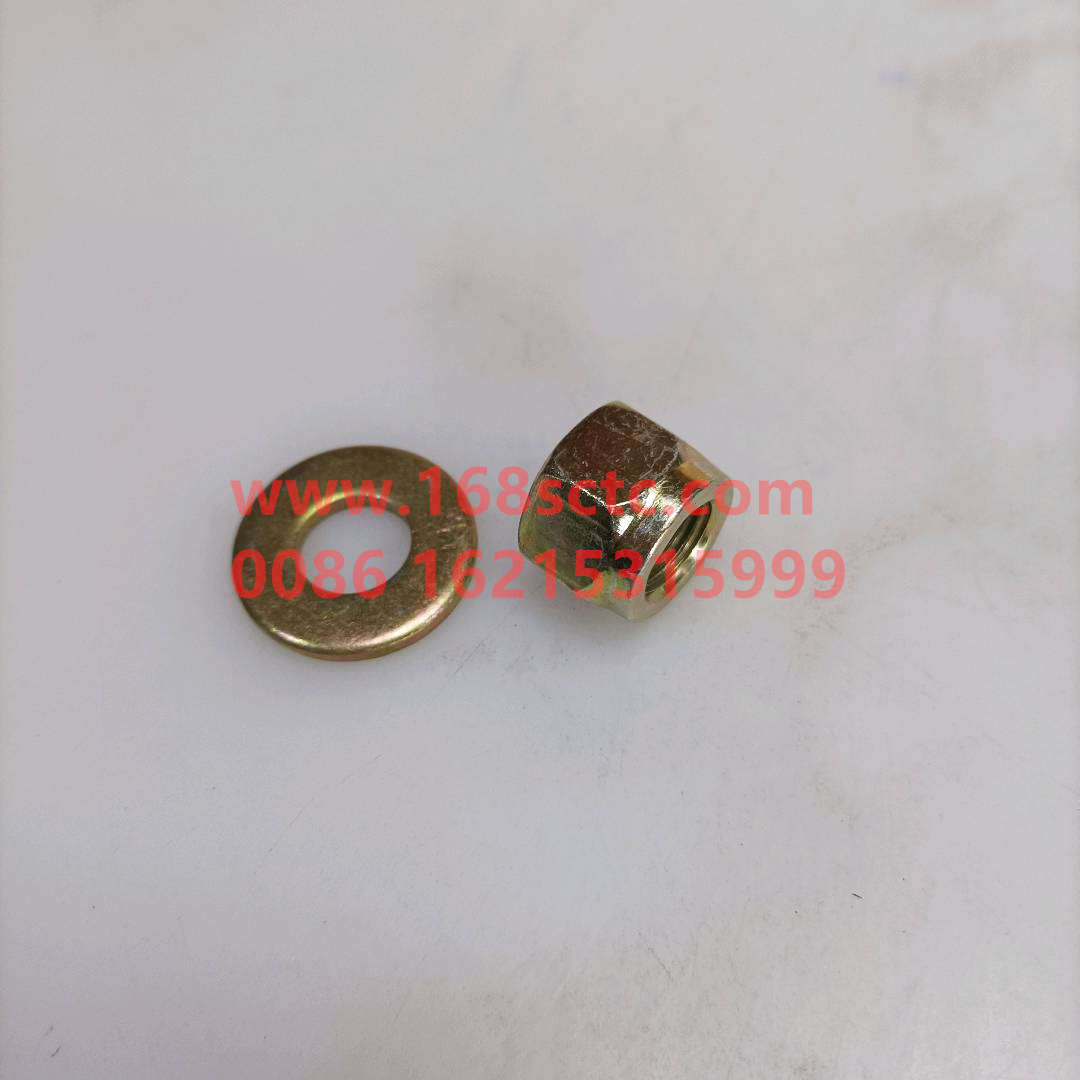 WG9725520282+014