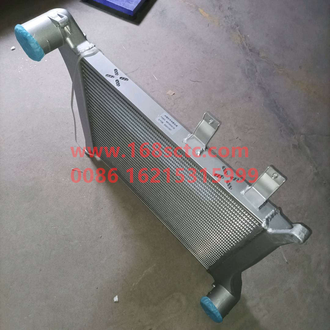 WG9725530130-SINOTRUK HOWO-Intercooler 38TubeHOWO10small horsepower-HaoWo2010Kuan