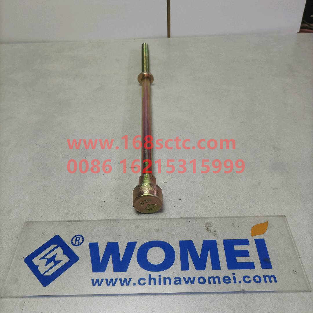 WG9725520286+013