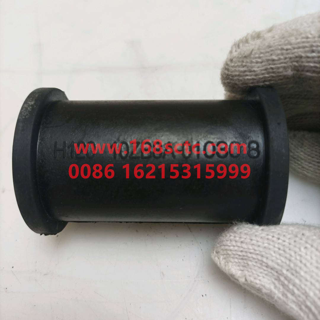 10ZB8A01030