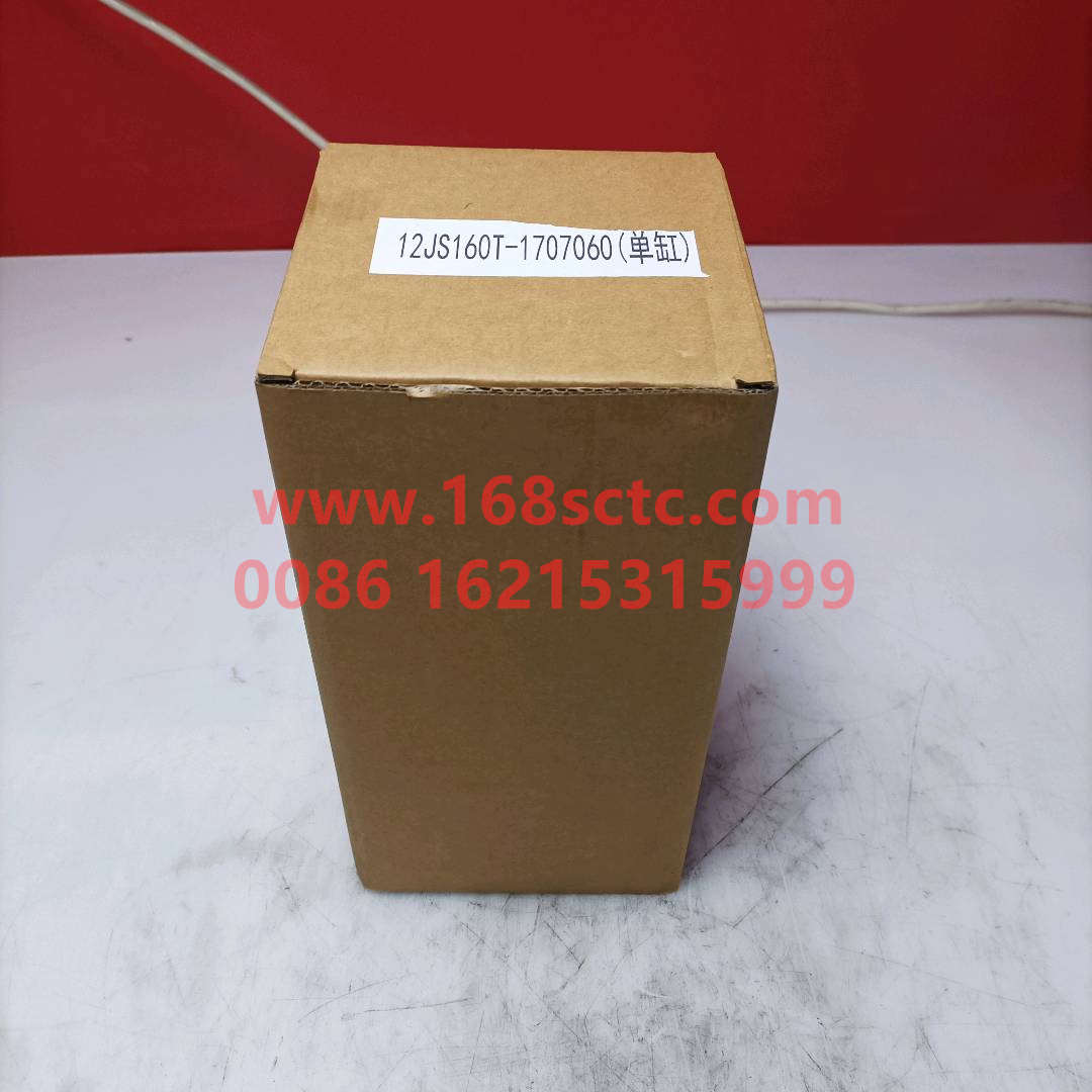 12JS160T1707062