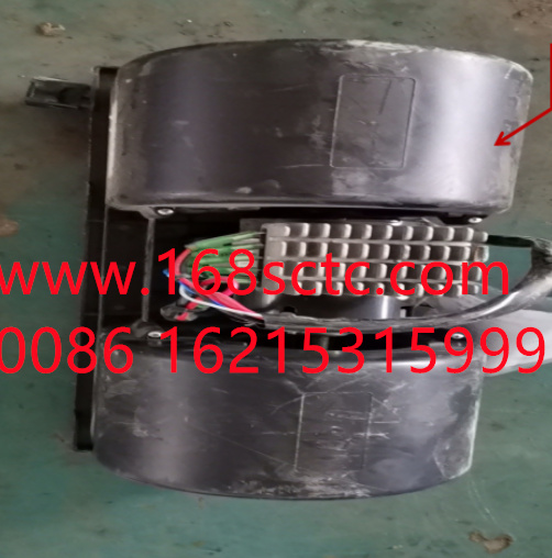 WG1671820032