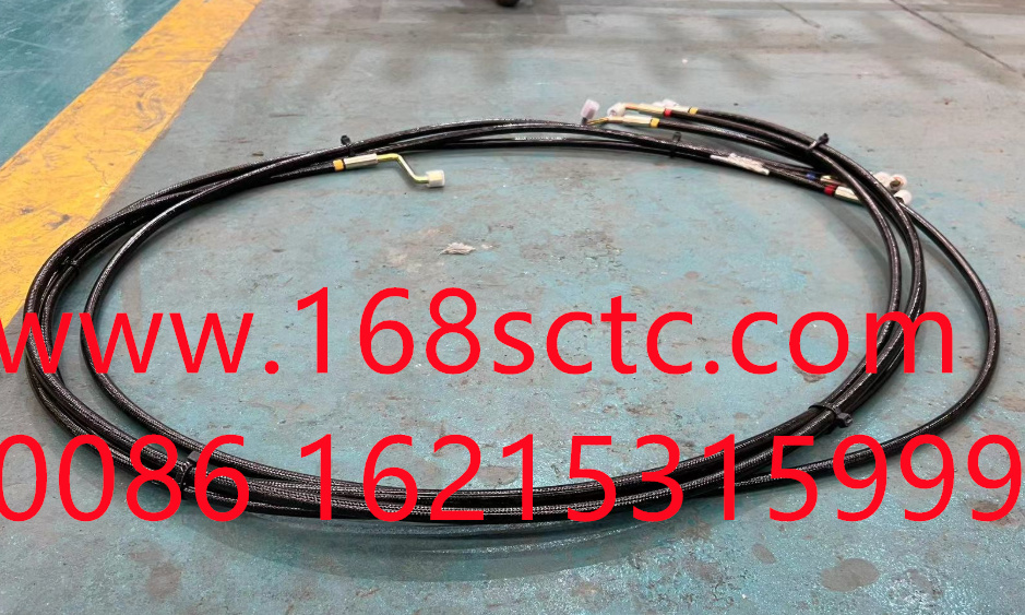 WG9525820144
