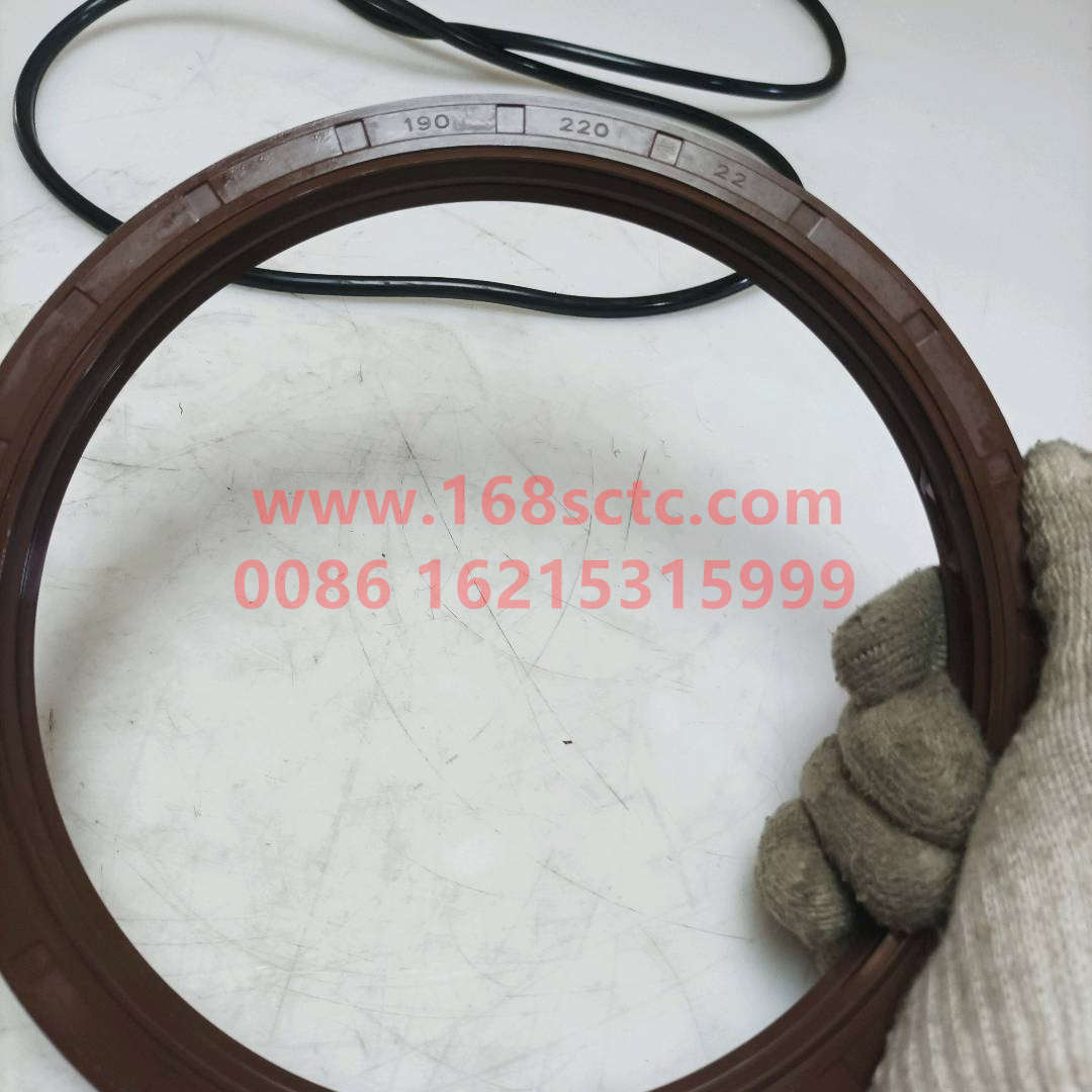 31ZHS0104080