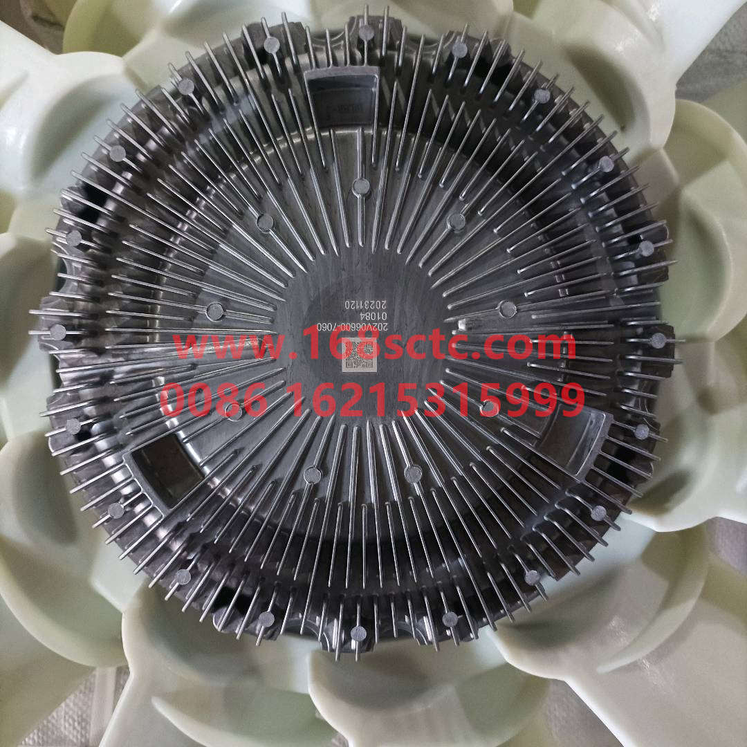 202V066007060