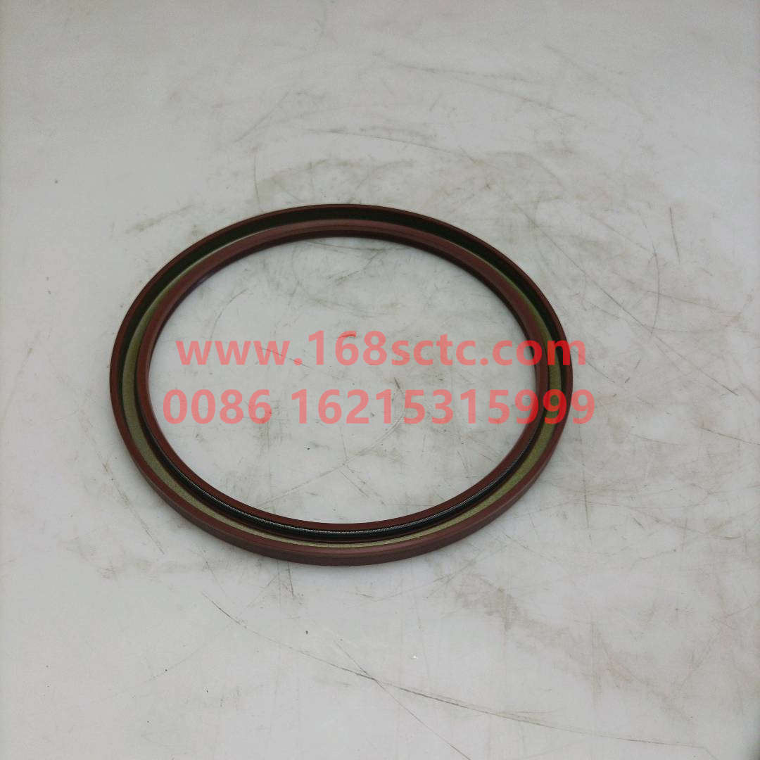 DZ91259520506-SINOTRUK HOWO-Balance shaft oil seal 160x185x10.5-HaoWo2007Kuan