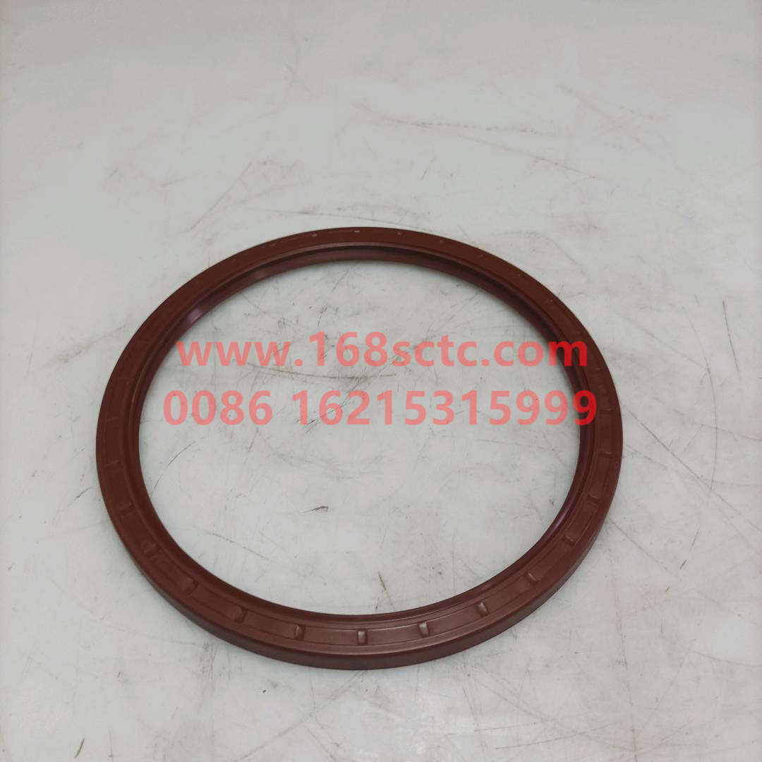 DZ91259520506-SINOTRUK HOWO-Balance shaft oil seal 160x185x10.5-HaoWo2007Kuan