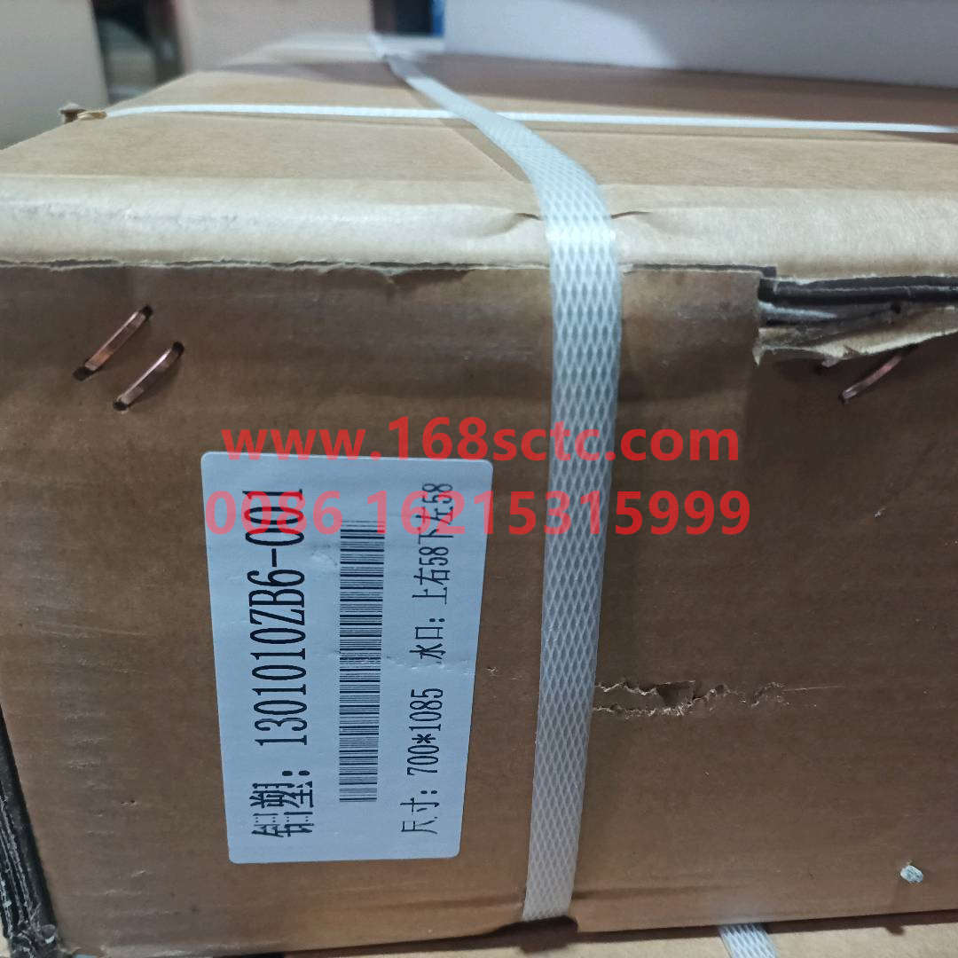 1301ZB6001