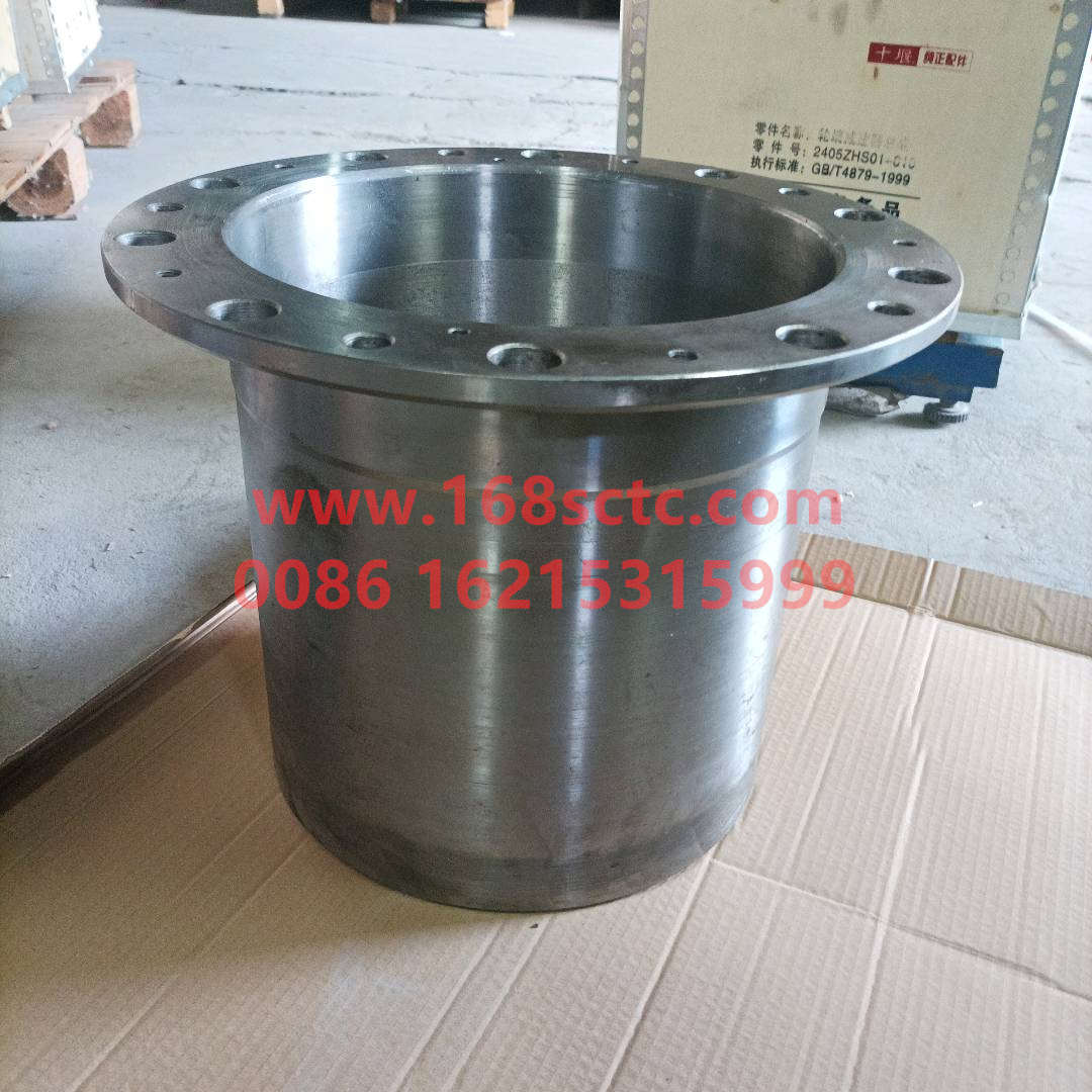 2405ZHS01010