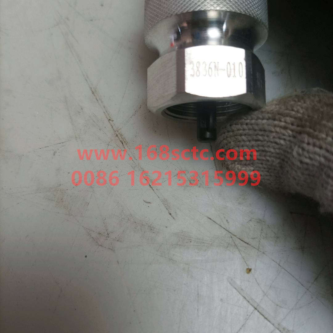 3836N010
