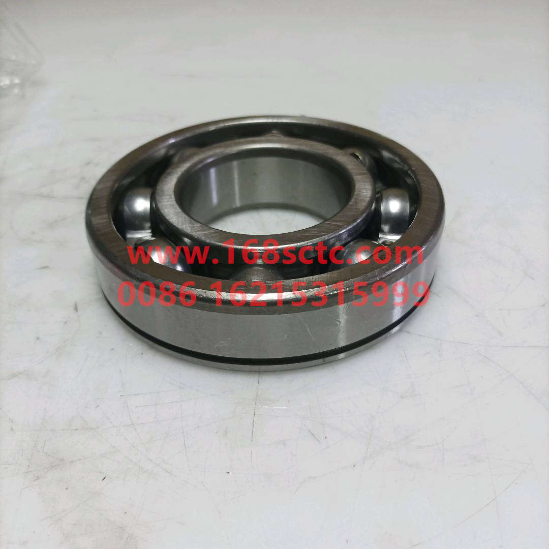6313N